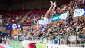 gam sfe09356 copia simone ferraro pha